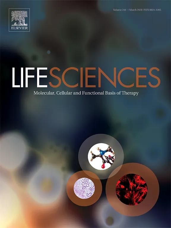 簡(jiǎn)訊丨銀豐生物馬賀然博士團(tuán)隊(duì)在SCI期刊《Life Sciences》上發(fā)表關(guān)于神經(jīng)干細(xì)胞外泌體的最新科研成果