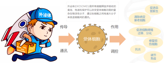 喜訊|湖南生寶生物與中南大學湘雅藥學院校企聯合課題入選中南大學創新項目！